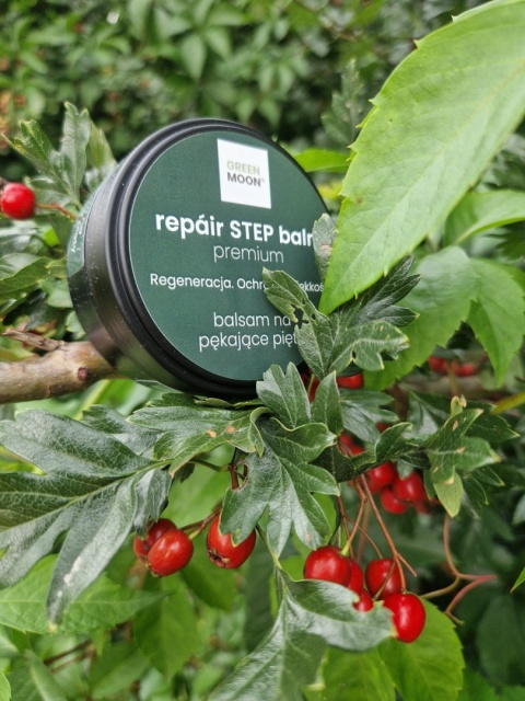 Balsam do stóp z masłem shea i olejami roślinnymi – GREEN MOON®